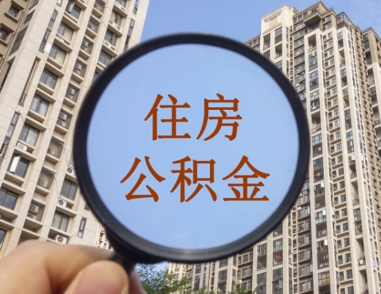 陇南不小心把公积金提出来了（公积金误提了怎么办）